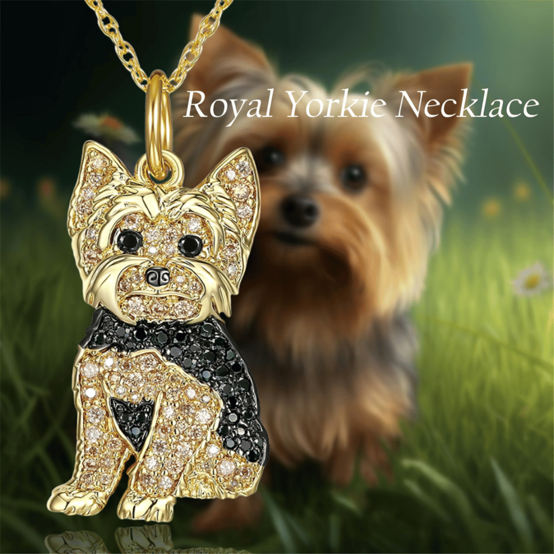 Colar Royal Yorkie Dog com Pingente [Banhado a Ouro 18k]