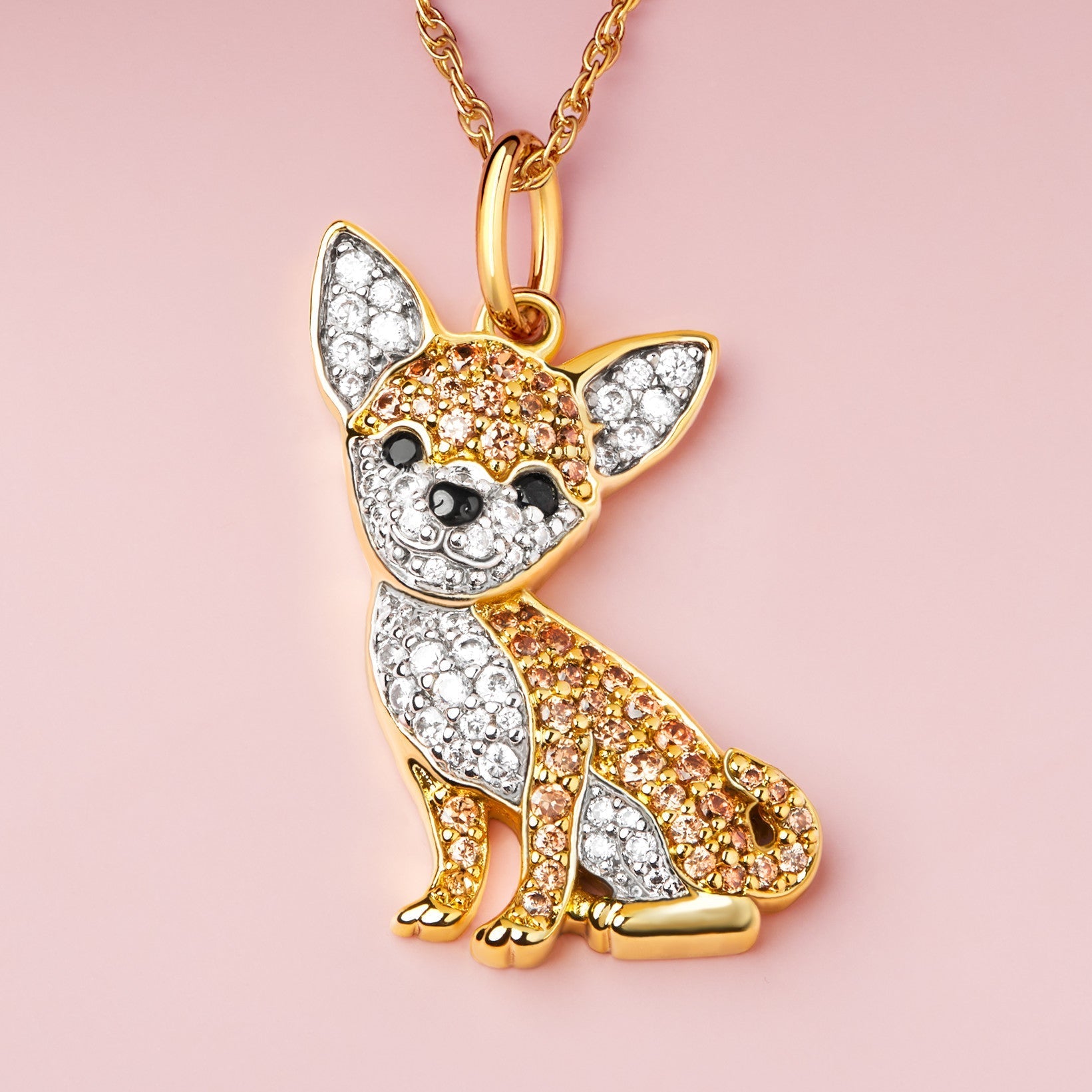 Colar + Pingente Chihuahua  | Banhado em Ouro 18K