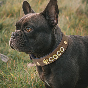 Coleira de couro personalizada para cães, nome personalizado, strass brilhante, colar para animais de estimação, nome diy, pata de osso grátis, pingente de coração