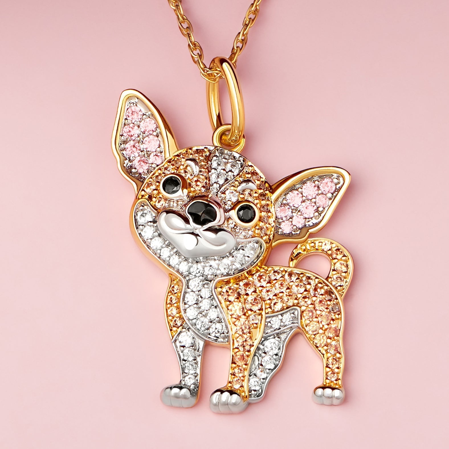 Colar + Pingente Chihuahua  | Banhado em Ouro 18K